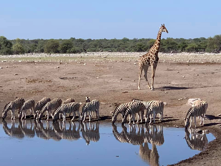 Etosha National Park - Namibia