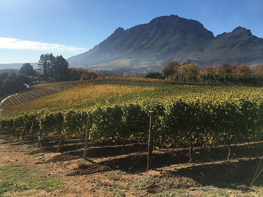 Franschoek in South Africa