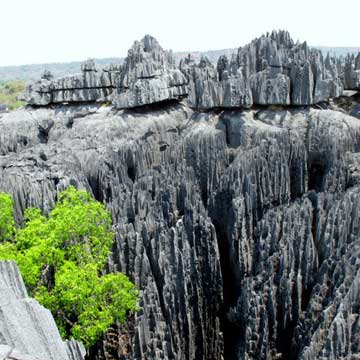 Trekking in Big Tsingy - Madagascar, October 2-19 2011 Trip Report