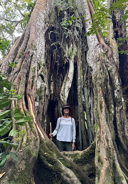 Forest walk - Republic of the Congo, February 2026 Trip Report