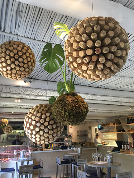 Wine shop in Stellenbosch, South Africa