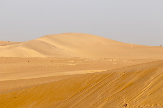 Sahara Desert