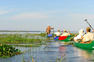 Canoe trip in Lower Zambezi