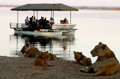 Chaiwa Camp - Lower Zambezi National Park - Zambia Safari Camp