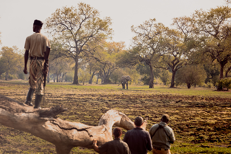 Camp fire at Chichele Presidential Lodge - South Luangwa National Park, Zambia