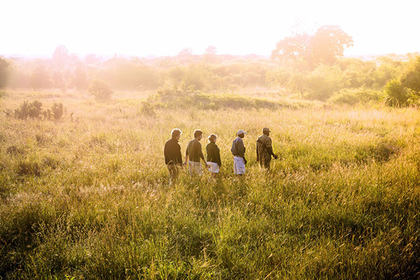 Walking safari - Ila Safari Lodge, Kafue, Zambia