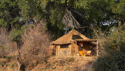 Mwamba Bush Camp - South Luangwa National Park - Zambia Safari Camp