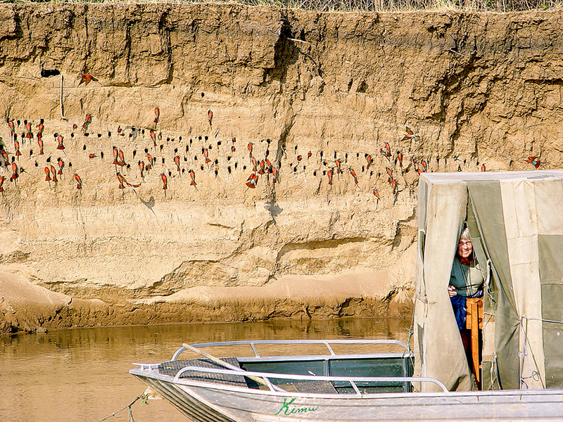 Carmine Bee-eater Hide at Mwamba Bush Camp