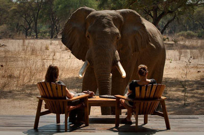 Old Mondoro Camp - Lower Zambezi National Park - Zambia Safari Camp