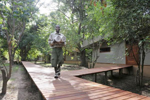 Potato Bush Camp - Lower Zambezi National Park - Zambia Safari Camp