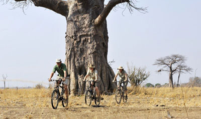 Tafika Camp - South Luangwa National Park - Zambia Safari Camp