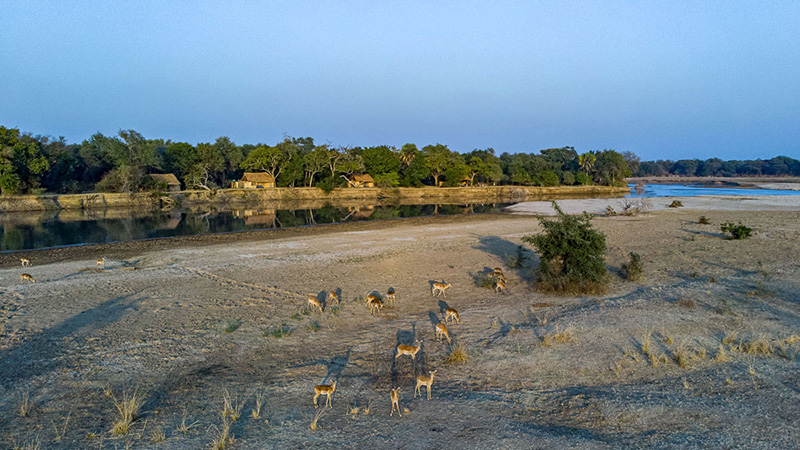 Takwela Camp - North Luangwa National Park, Zambia