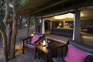 Tena Tena Camp - South Luangwa National Park