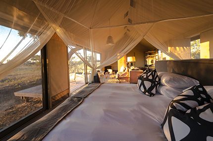 Linkwasha Camp - Hwange National Park