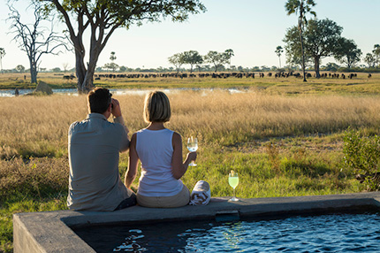 Linkwasha Camp - Hwange National Park