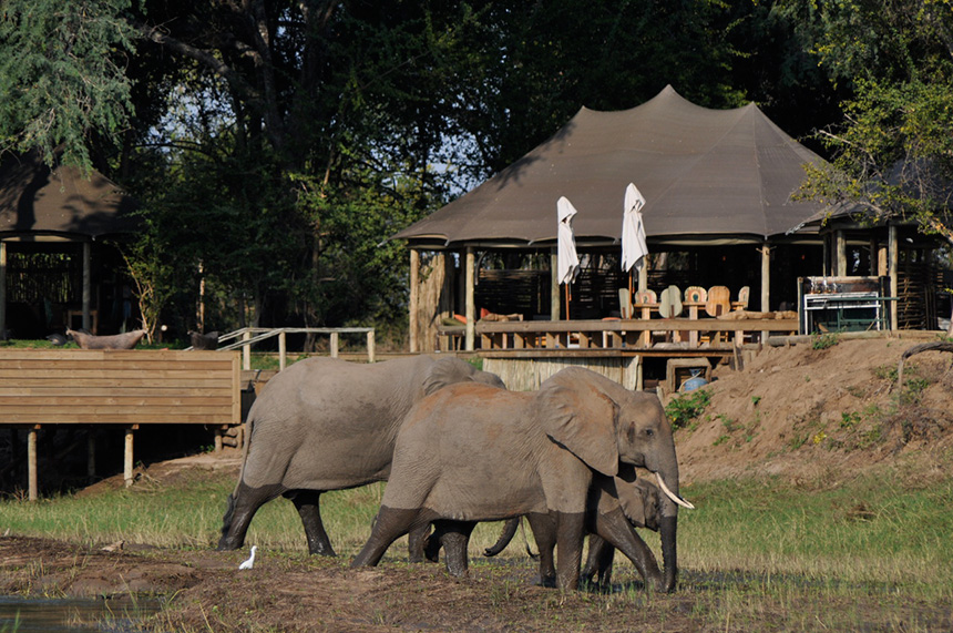 Ruchomechi Camp - Mana Pools National Park