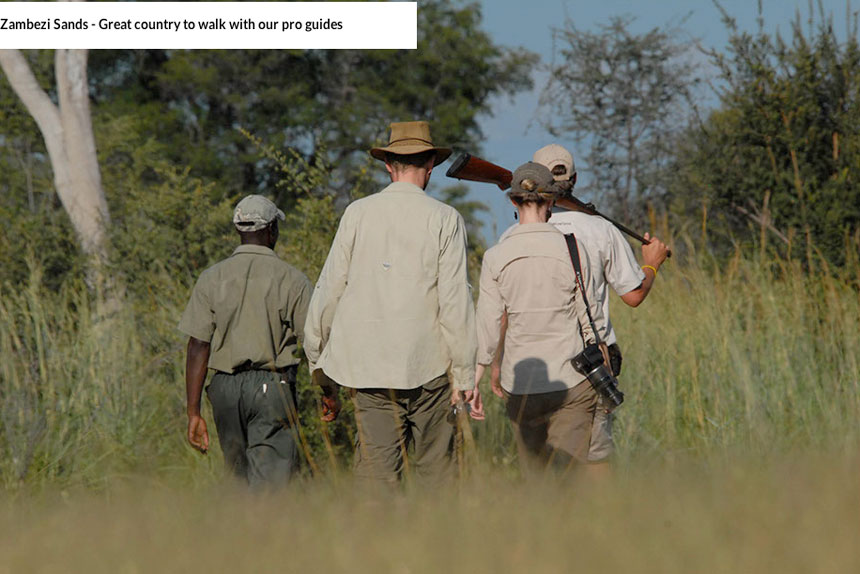 Zambezi Sands Lodge - Zambezi National Park - Zimbabwe Safari Lodge