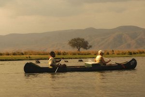 Wild Zimbabwe Highlights - Zambezi Expeditions, Mana pools National Park